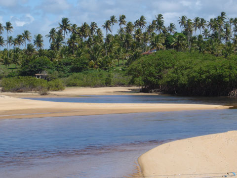 Barra do Cahy, bahia. Brasil 