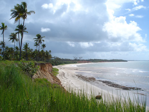 Falesias Barra do Cahy. BA