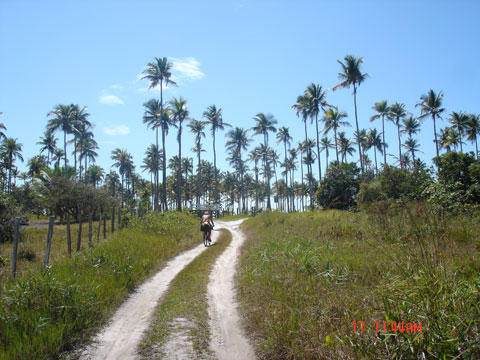 Coqueiral e Fazenda. Caminho Cumuruxatiba - Praia