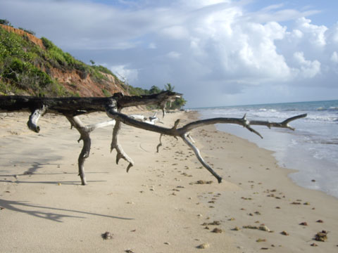 Trilha Barra do Caíhy - Corumbau