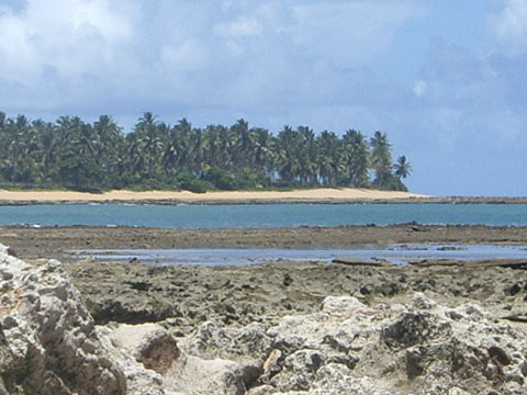 Coqueral praia Jacumã.