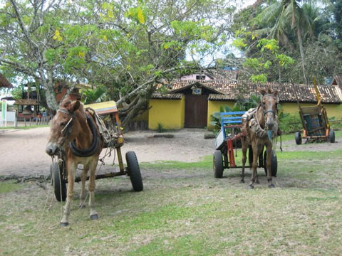 Taxi de Cara&iacute;va