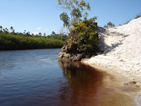 Prainha no rio Cara&iacute;va