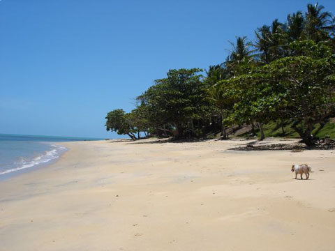Praia do Satu a 3 km de Cara&iacute;va