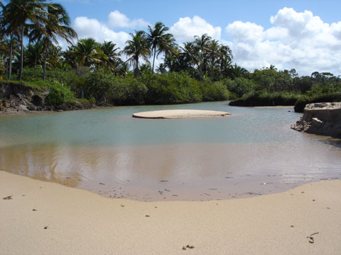 Esta lagoa é de agua salgada