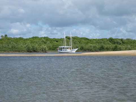 Tomara. Barco de Pesquisa Projeto Baleia Jubarte