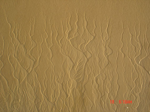 Desenho natural na area da Praia. Autor: O Oceano Atlântico