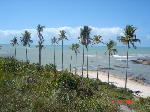 Praia Tauá - Cumuruxatiba