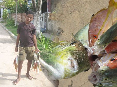 Menino e peixes