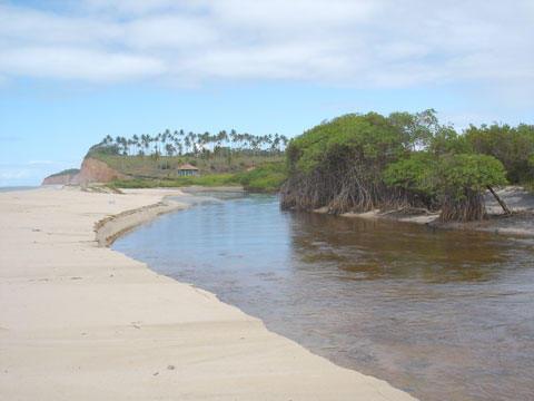 falésias e manguezal