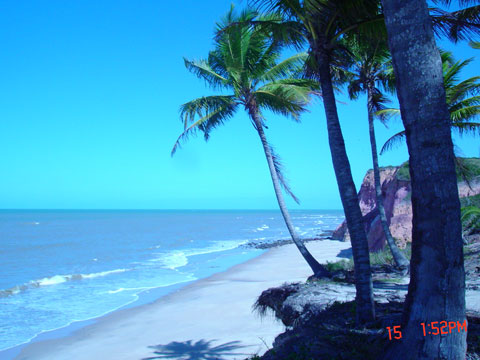 coqueiros e falésias Prado - Cumuruxatiba