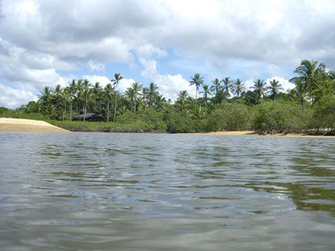 Coqueiros - Rio da Barra