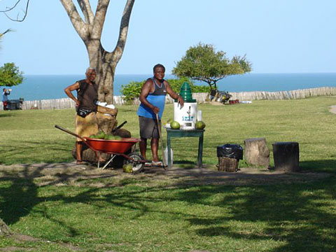 Água de Coco no Quadrado de Trancoso